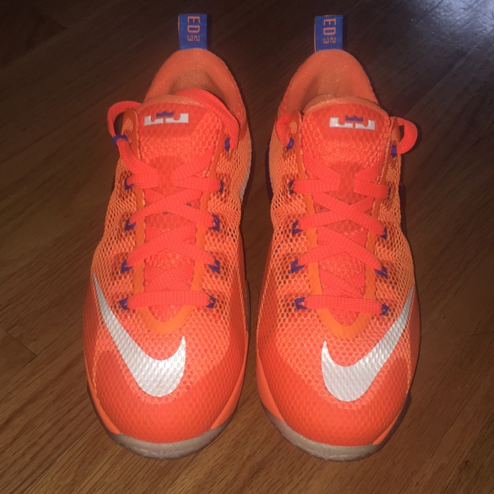 Lebron James shoe